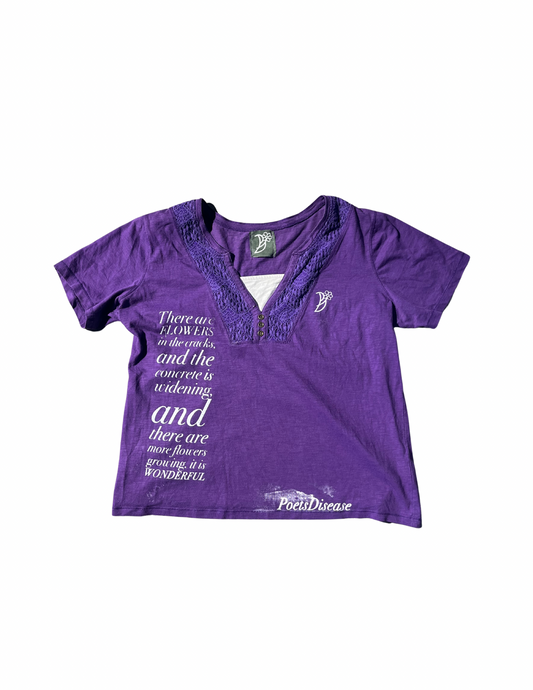 Dark Purple Flowers in the cracks.