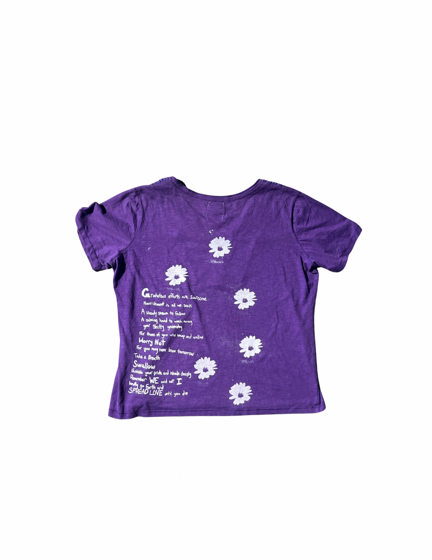 Dark Purple Flowers in the cracks.